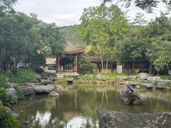 -顺峰山公园