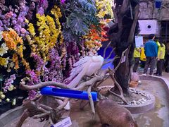 -正佳雨林生态植物园
