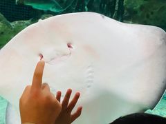 -珠海长隆海洋王国