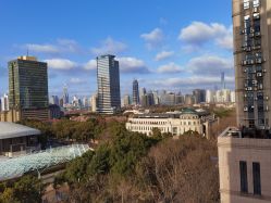 -海豚湾高端月子会所(黄浦店)