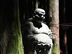 -武陵山森林公园