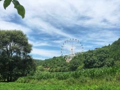 -铜川市金锁关石林