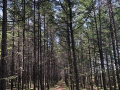-草原天路(张北县)
