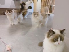 -至艾推拿院·三伏灸(昆城广场店)