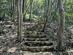 -午潮山国家森林公园
