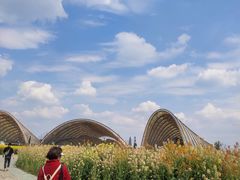 -中国天府农业博览园