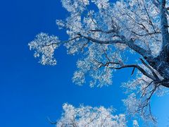 -长白山万达国际滑雪场