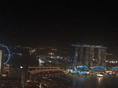 -新加坡瑞士史丹福酒店