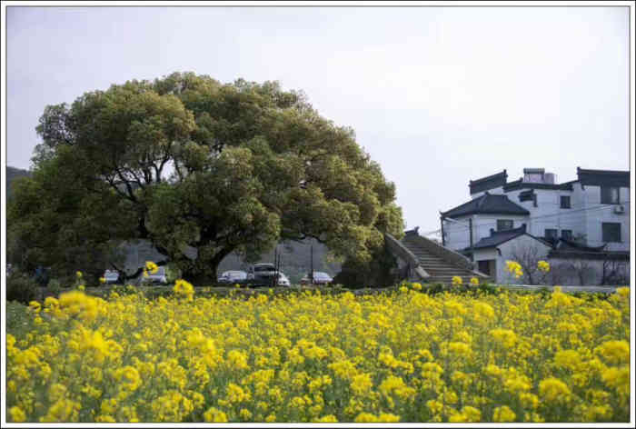 植里古村-"植里古村记忆中和哥哥0969♂15姐姐0969.