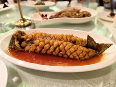 -西安饭庄·非遗陕菜(钟楼店)