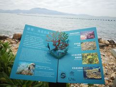-杨梅坑