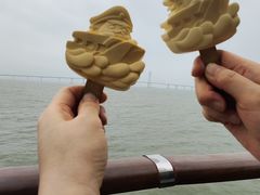 -招商蛇口邮轮母港(观光客运)