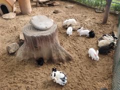 -北京美神宫艺术主题温泉酒店