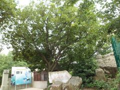 门面-头陀岭景区