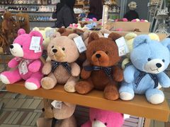 -济州岛泰迪熊博物馆