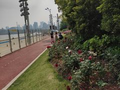 -北外滩滨江绿地