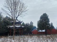 -洛阳白马寺