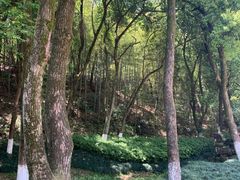 -杭州半山国家森林公园