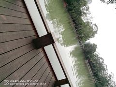 -西湖公园(鼓楼区)