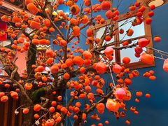 -肖记公安牛肉鱼杂馆· 省级非物质文化遗产(仁和路店)