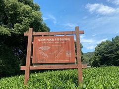 -西湖风景区十里琅珰-五云山