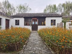 -溱湖国家湿地公园