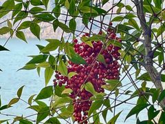 -滨江生态公园