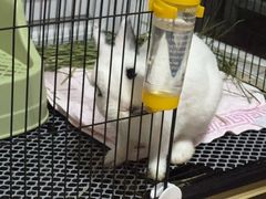 -爱侣宠医·鹦鹉专科·小型哺乳类·异宠专科(灵石路店)