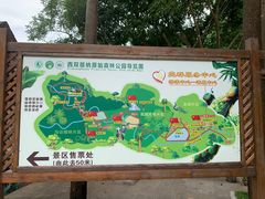 -西双版纳原始森林公园