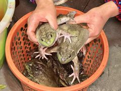 -邓莽子老火锅(中兴路总店)