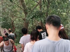 -紫金山山顶公园