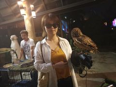 -清迈夜间动物园