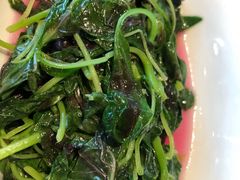 -菩提树·素食餐厅(汇智国际商业中心店)