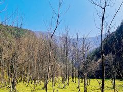 -华蓥山天意谷景区