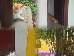 -西园戒幢律寺