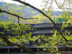 -中国茶叶博物馆(双峰馆区)