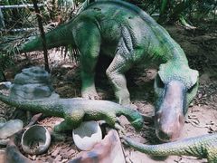 -呀路古热带植物园