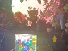 -鱼乐岛餐厅·户外花园主题餐厅