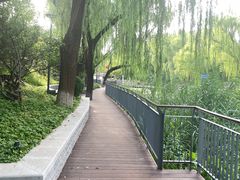 -南长河公园