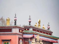 -塔尔寺