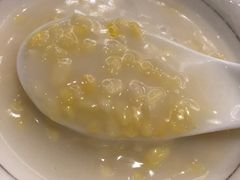 -金燕岛潮州酒楼