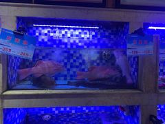 -老蒲鲜·地标·非遗美食(涵江店)