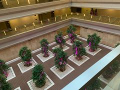 -南京禄口机场雅高铂尔曼大酒店