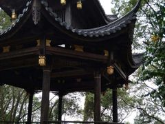 -金鸡山公园