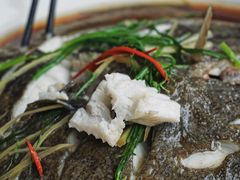 清蒸多宝鱼-鑫悦楼煎蟹·16年海鲜大排档