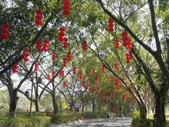 -大屏嶂森林公园
