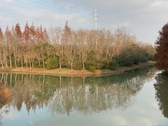 -上海海湾国家森林公园