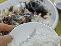 -鲤鱼塘农家山庄