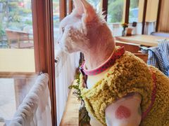 -翠贝卡&Mama Kelly Brunch Coffee(河西店)