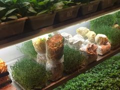 -鲜货俚鲜火锅(青果路店)
